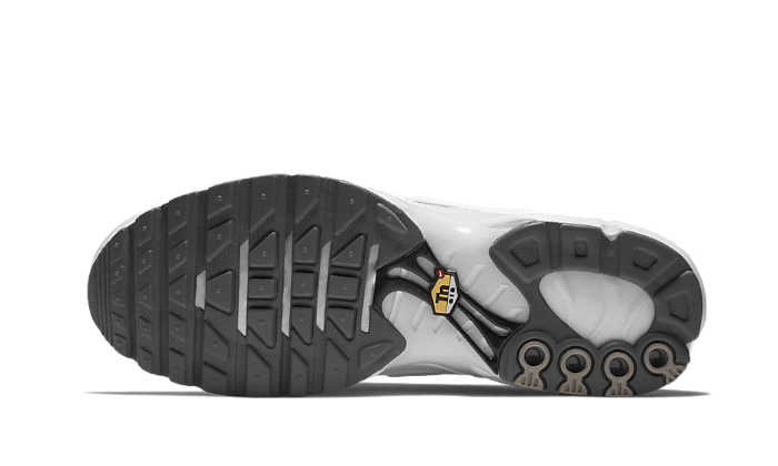NKE Air Max Plus White