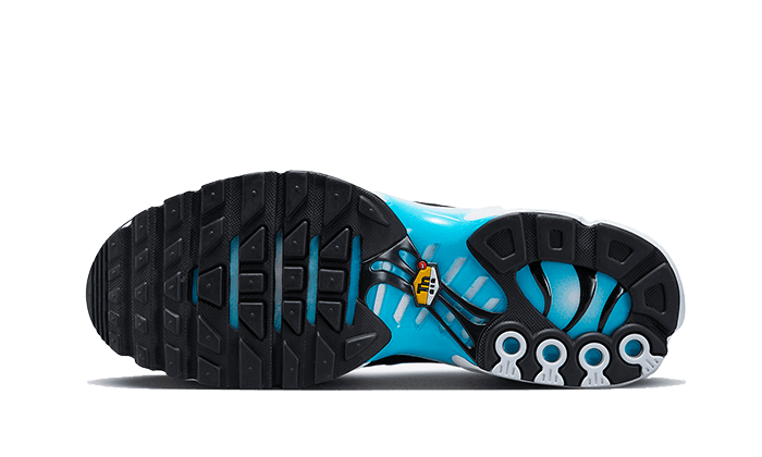 NKE Air Max Plus Baltic Blue